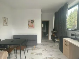 LAVIEPROPERTY – DOM PREMIUM DO WYNAJĘCIA W HO CHI MINH CITY